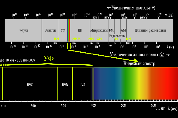 Частоты радиоволн от ионизирующего гамма-излучения до длинных километровых электромагнитных волн.